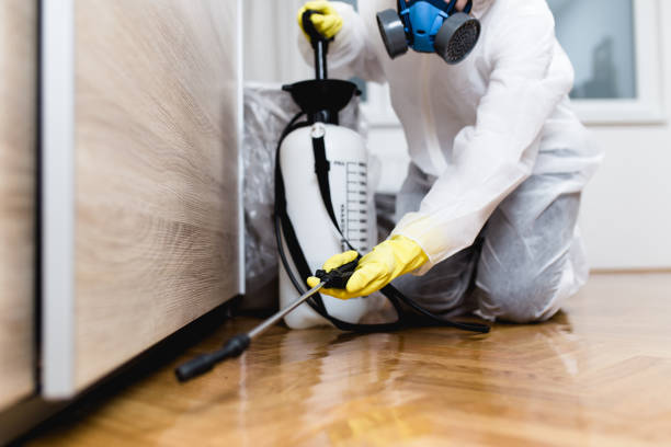 Best Local Pest Control Services  in Carson City, NV