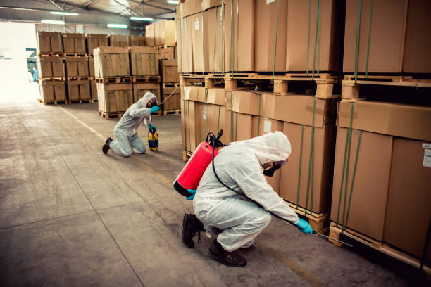 Best Pest Control Treatment  in Carson City, NV
