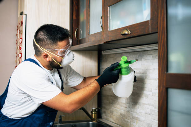 Best Mosquito Control Services  in Carson City, NV