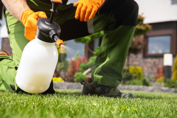 Best Emergency Pest Control  in Carson City, NV