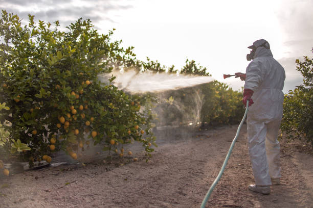 Professional Pest Control in Carson City, NV